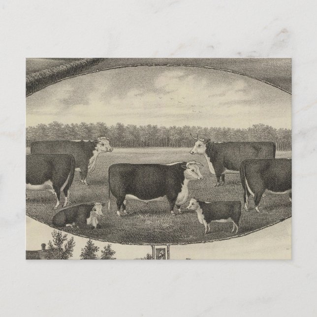 Carte Postale Jackson Farm, Kansas (Devant)