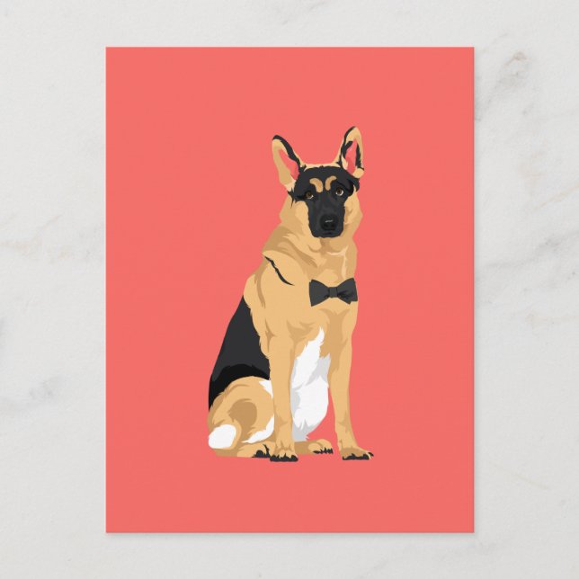 Carte Postale Jackson Le Berger Allemand Dapper (Devant)