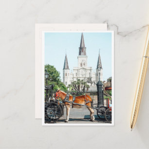 Carte Postale Jackson Square La Nouvelle-Orléans Photo de Cheval