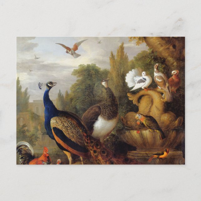 Carte Postale Jacob Bogdani Peacock Peahen Parrots Canari (Devant)