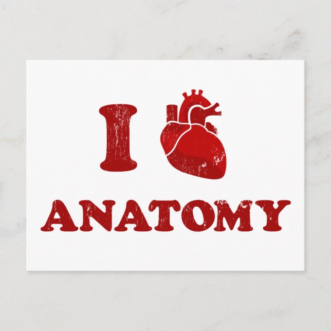 Carte Postale j'adore anatomy2 (Devant)