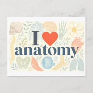 Carte Postale "J'adore l'anatomie"