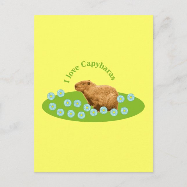 Carte Postale J'adore les capybaras (Devant)