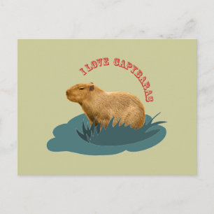 Carte Postale J'adore les capybaras