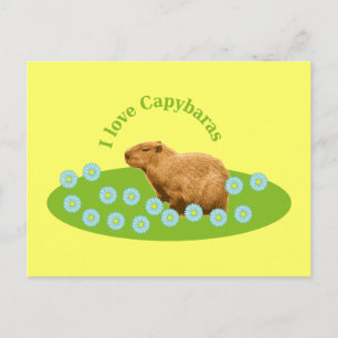 Carte Postale J'adore les capybaras