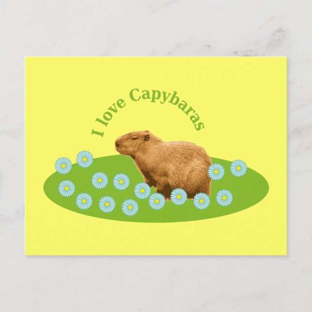 Carte Postale J'adore les capybaras (Devant)