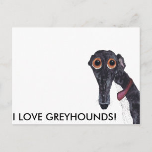 CARTE POSTALE J'ADORE LES GREYHOUNDS !