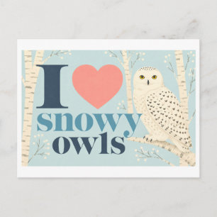 Carte Postale "J'adore les Harfangs des neiges"