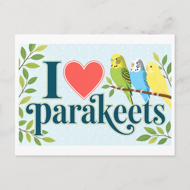 Carte Postale "J'adore les perruches" (Devant)