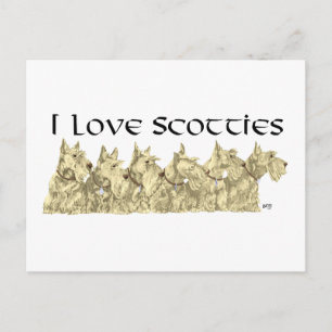 Carte Postale J'adore les Scotties - Alignement de Scotties roux