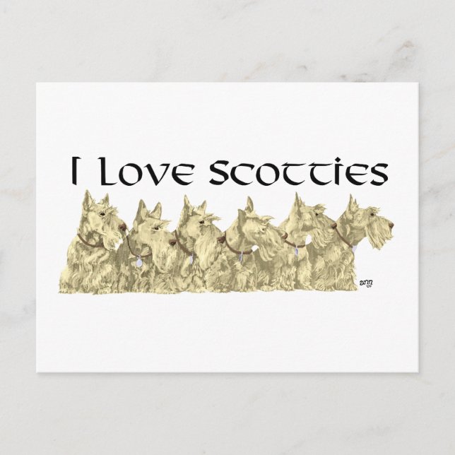 Carte Postale J'adore les Scotties - Alignement de Scotties roux (Devant)