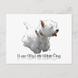 Carte Postale J'adore mon petit chien blanc - Westie