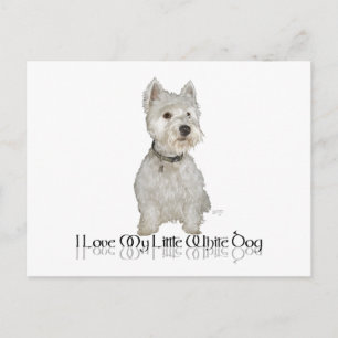 Carte Postale J'adore mon petit chien blanc - Westie