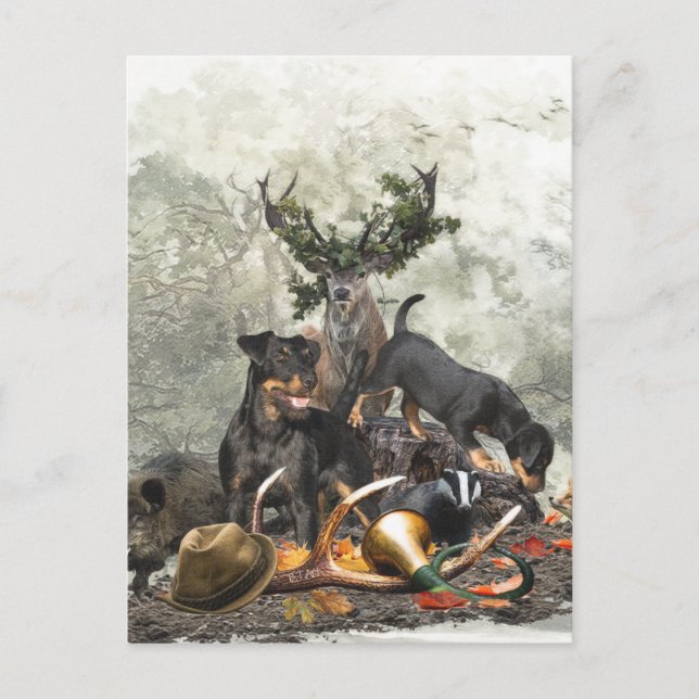 Carte Postale Jagdterrier, Terrier de chasse allemand (Devant)