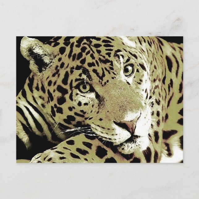 Carte Postale Jaguar (Devant)