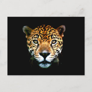 Carte Postale Jaguar
