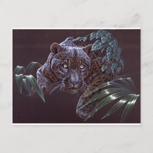 Carte Postale Jaguar noir