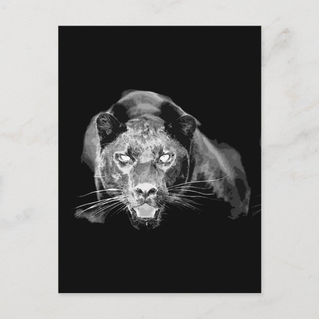Carte Postale Jaguar noir et blanc - Chats sauvages (Devant)
