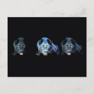 Carte Postale Jaguar - Panthère noire