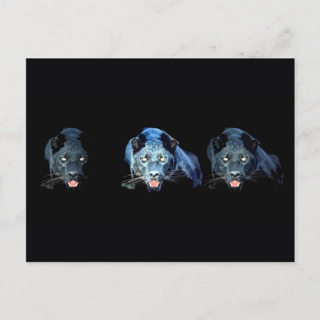 Carte Postale Jaguar - Panthère noire (Devant)