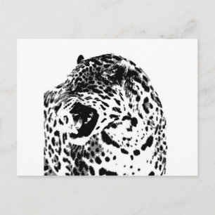 Carte Postale Jaguar Roaring