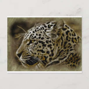 Carte Postale Jaguar Wild Cat Spots African Safari Destiny