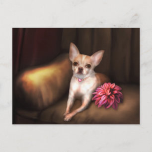 Carte Postale Jaguarwoman's "Chihuahua Portrait I"