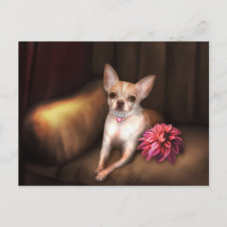 Carte Postale Jaguarwoman's "Chihuahua Portrait I"