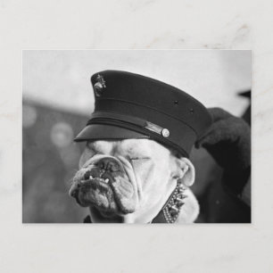 Carte Postale J'ai besoin d'une sieste : 1923