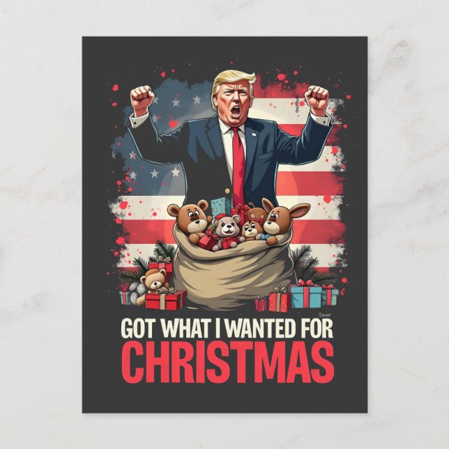 Carte Postale J'Ai Ce Que Je Voulais Pour Noël Trump Père Noël (Devant)