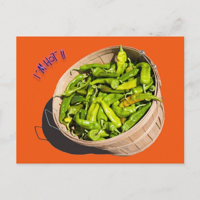 Carte Postale J'ai chaud ! ! (Devant)