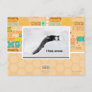Carte Postale J'ai de la neige.