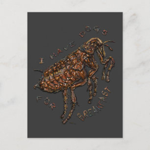 Carte Postale J'ai des chiens pour le petit-déjeuner