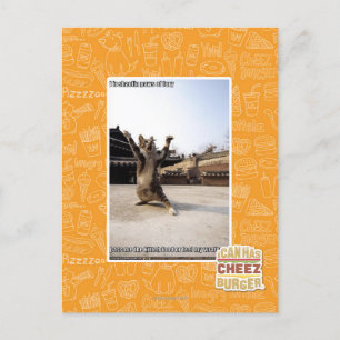 Carte Postale J'ai des pattes de shaolin de fureur