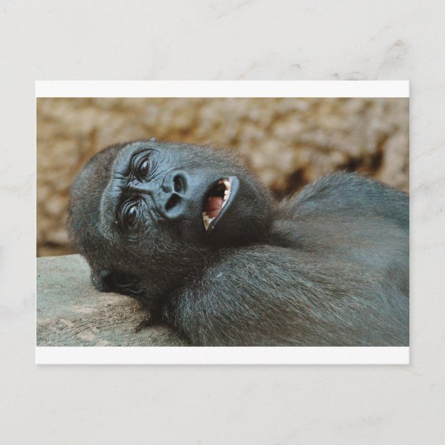 Carte Postale "J'ai tellement sommeil" (Devant)