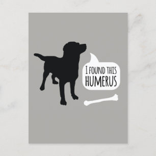 Carte Postale J'ai trouvé cette Humerus Dog avec Bone Funny Post