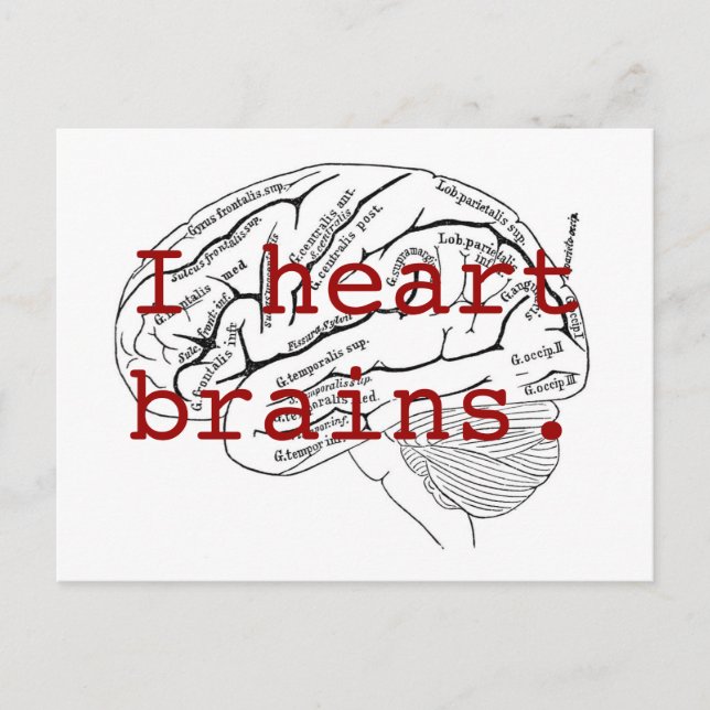 Carte Postale J'ai un cerveau cardiaque. (Devant)
