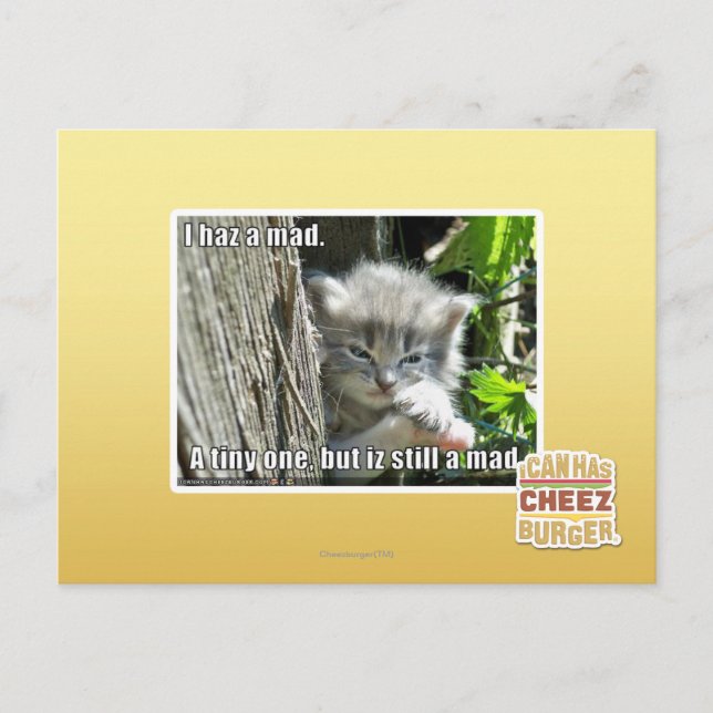 Carte Postale J'ai un fou (Devant)