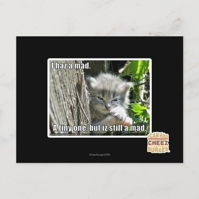 Carte Postale J'ai un fou (Devant)