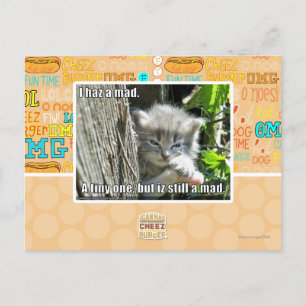 Carte Postale J'ai un fou