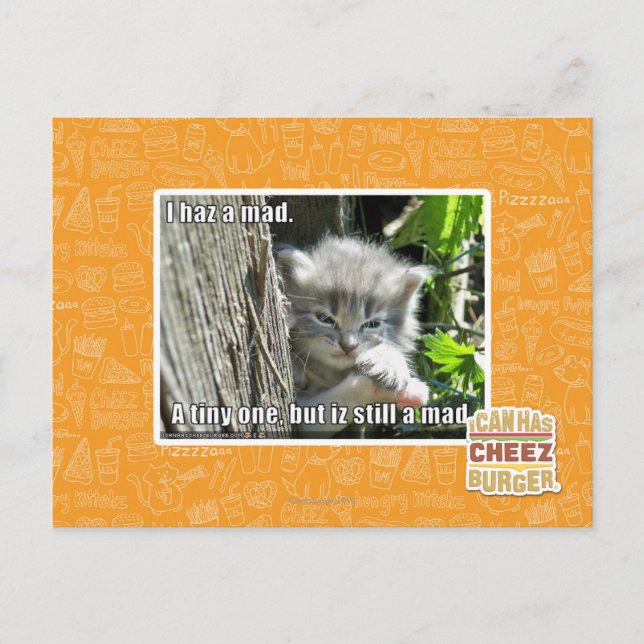 Carte Postale J'ai un fou (Devant)