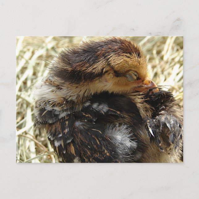 Carte Postale J'ai un problème (Devant)