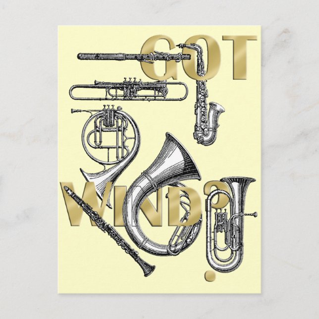 Carte Postale J'ai Wind Funny Wind Instrument joueurs cadeaux (Devant)
