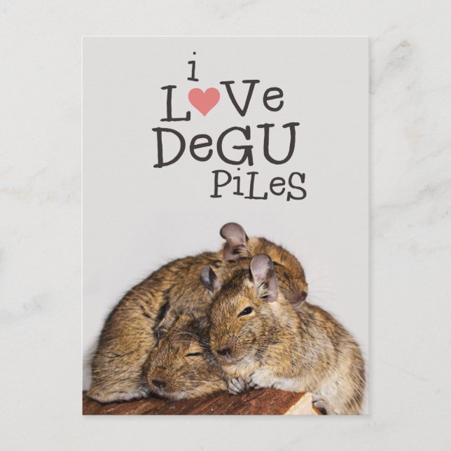Carte Postale J'Aime Degu Piles (Devant)