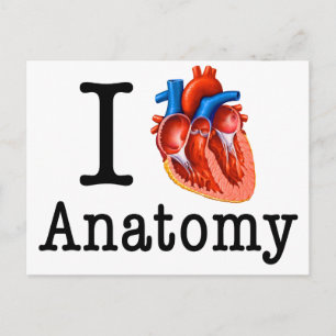 Carte Postale J'aime l'anatomie