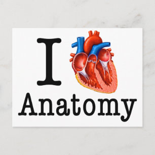 Carte Postale J'aime l'anatomie