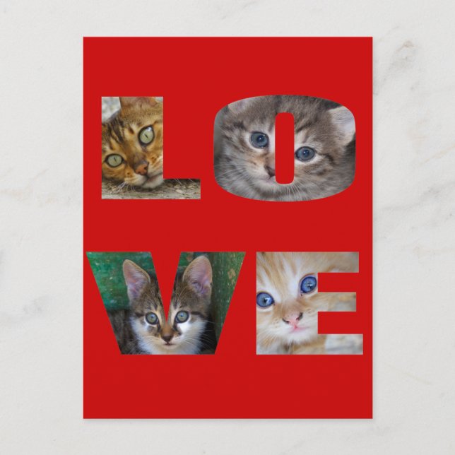 Carte Postale J'aime les chats (Devant)