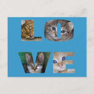 Carte Postale J'aime les chats