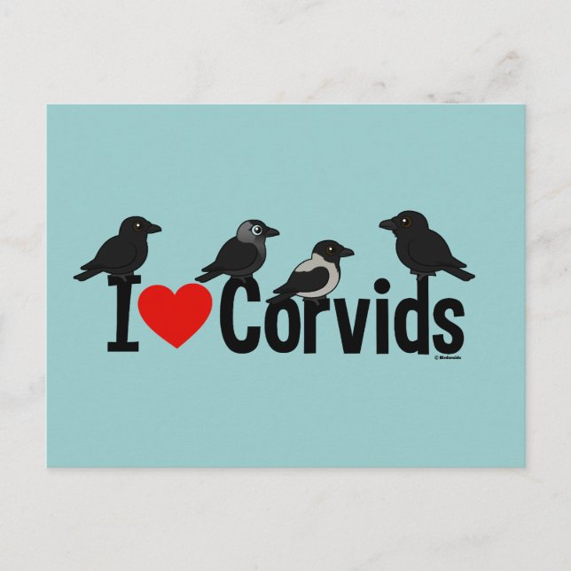 Carte Postale J'Aime Les Corvids (Devant)