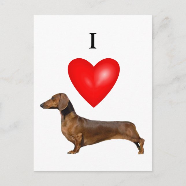 Carte Postale J'Aime Les Dachshunds (Devant)
